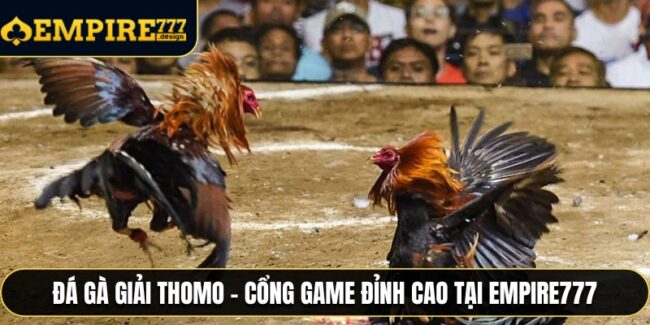 Đá Gà Giải Thomo